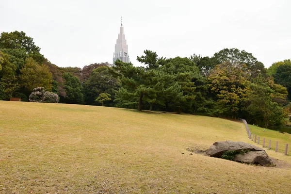 Tokió Japán November 2019 Azonosítatlan Maszat Őszi Levelek Yoyogi Koen — Stock Fotó