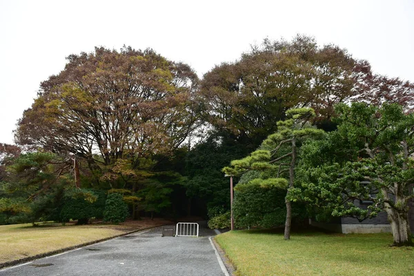 Tóquio Japão Novembro 2019 Folhas Outono Borrão Não Identificadas Jardim — Fotografia de Stock