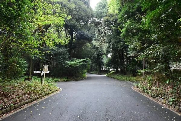 2019年11月27日 日本东京 Yyogi Koen国家花园 — 图库照片