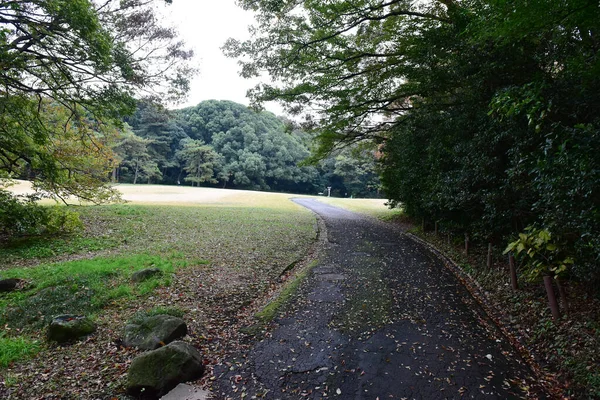 Tokyo Japan November 2019 Unidentified Blur Autumn Leaves Yoyogi Koen — Stock Photo, Image