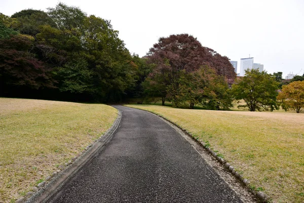 Tokio Japan November 2019 Unbekannte Verwischen Herbstblätter Yoyogi Koen Nationalgarten — Stockfoto