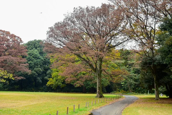 Tokio Japan November 2019 Unbekannte Verwischen Herbstblätter Yoyogi Koen Nationalgarten — Stockfoto