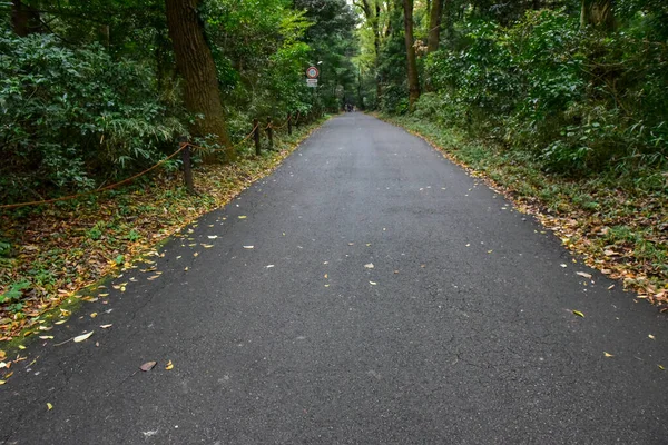 Tokyo Japan November 2019 Unidentified Blur Autumn Leaves Yoyogi Koen — Stock Photo, Image