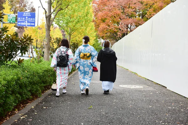 Tokyo, Japonya 21 Kasım 2018 Tokyo 'daki tanımlanamayan Japon binaları ve binaları.