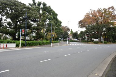 Tokyo, Japonya 21 Kasım 2018 Tokyo 'daki tanımlanamayan Japon binaları ve binaları.