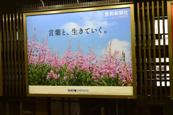 Tokio Japón Noviembre 2018 Edificios Edificios Japoneses Identificados Tokio —  Fotos de Stock