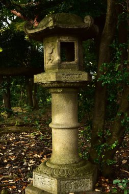 Tokyo, Japonya 27 Kasım 2019 Kimliği belirlenemeyen birçok insan Shinjuku Gyoen Ulusal Bahçesinde yürüyor ve sonbahar ağacını seyrediyor..