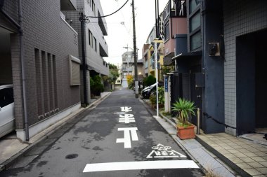 Tokyo, Japonya 21 Kasım 2018 Tanımlanamayan Görüntü Japon vatandaşlarının Tokyo 'ya seyahati.
