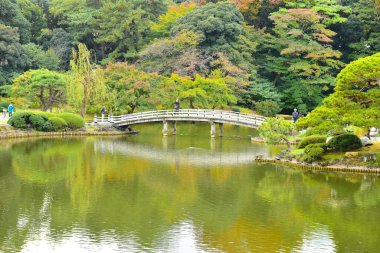 Tokyo, Japonya 27 Kasım 2019 Kimliği belirlenemeyen birçok insan Shinjuku Gyoen Ulusal Bahçesinde yürüyor ve sonbahar ağacını seyrediyor..