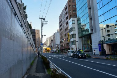Tokyo, Japonya 21 Kasım 2018 Kimliği belirsiz insanlar Tokyo tren istasyonlarında. Tokyo 'ya seyahat eden Japonların Görüntü Seyahati.