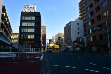 Tokyo, Japonya 21 Kasım 2018 Kimliği belirsiz insanlar Tokyo tren istasyonlarında. Tokyo 'ya seyahat eden Japonların Görüntü Seyahati.