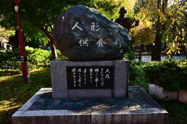 Tokyo, Japonya. 27 Kasım 2019 Tanımlanamayan Görüntü. Birçok insan Ueno parkında yürüyor ve sonbahar ağacını izliyor..