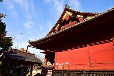 Tokyo, Japonya. 27 Kasım 2019 Tanımlanamayan Görüntü. Birçok insan Ueno parkında yürüyor ve sonbahar ağacını izliyor..