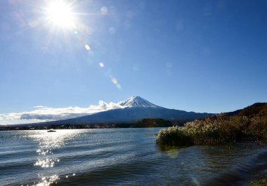 Japonya 'daki güzel Fuji Dağı, Fuji Gölü büyüklüğünde Kawaguchiko Gölü, beyaz tepesi, bahçede sonbahar, dağlara düşer..