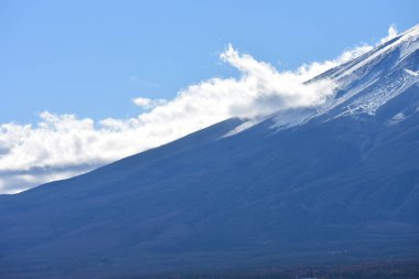 Japonya 'daki güzel Fuji Dağı, Fuji Gölü büyüklüğünde Kawaguchiko Gölü, beyaz tepesi, bahçede sonbahar, dağlara düşer..