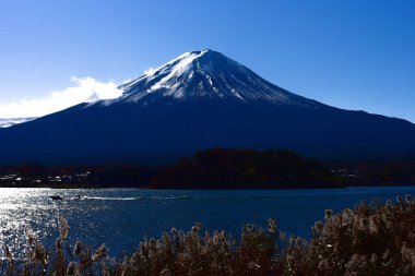 Japonya 'daki güzel Fuji Dağı, Fuji Gölü büyüklüğünde Kawaguchiko Gölü, beyaz tepesi, bahçede sonbahar, dağlara düşer..