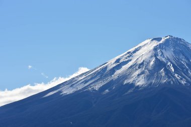 Japonya 'daki güzel Fuji Dağı, Fuji Gölü büyüklüğünde Kawaguchiko Gölü, beyaz tepesi, bahçede sonbahar, dağlara düşer..