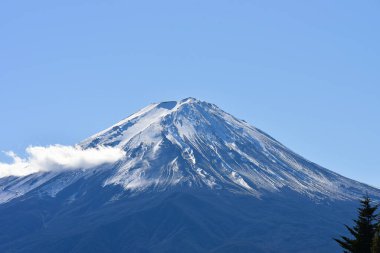 Japonya 'daki güzel Fuji Dağı, Fuji Gölü büyüklüğünde Kawaguchiko Gölü, beyaz tepesi, bahçede sonbahar, dağlara düşer..