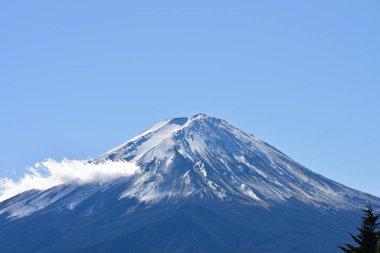 Japonya 'daki güzel Fuji Dağı, Fuji Gölü büyüklüğünde Kawaguchiko Gölü, beyaz tepesi, bahçede sonbahar, dağlara düşer..