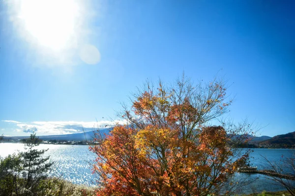 Krásná Krajina Hora Fuji Japonsku Jezero Kawaguchiko Velikost Fuji Bílý — Stock fotografie