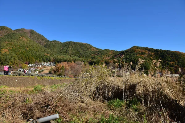 Yamanashi Japón Noviembre 2018 Identificado Hermoso Paisaje Montaña Fuji Japón —  Fotos de Stock