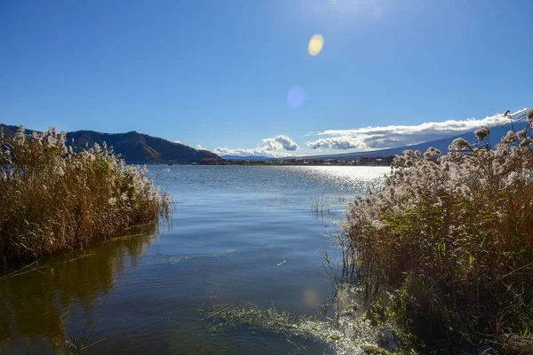 Vackert Landskap Mountain Fuji Japan Lake Kawaguchiko Storlek Fuji Vit — Stockfoto