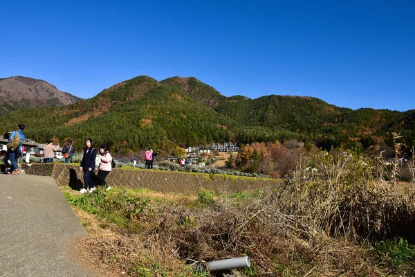 山梨県日本2018年11月23日未確認日本の美しい風景富士山 富士山の河口湖サイズ 白トップ 庭の秋 山の秋 — ストック写真
