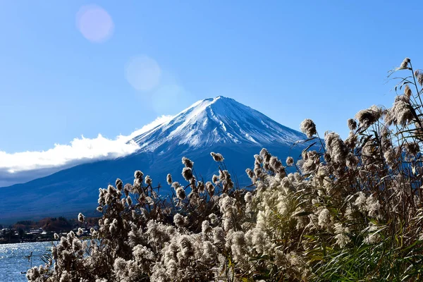 美しい風景日本の富士山 富士の河口湖の大きさ 白トップ 庭の秋 山の中の秋 — ストック写真