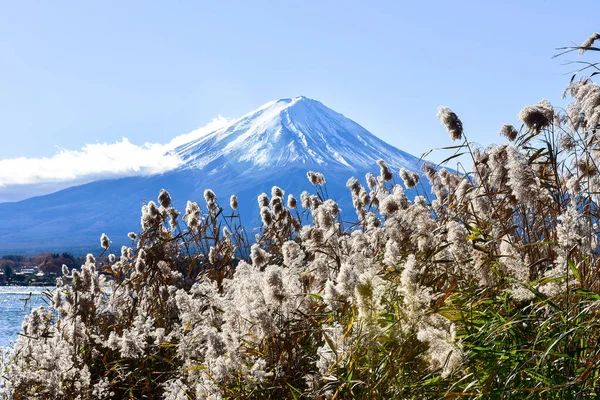 美しい風景日本の富士山 富士の河口湖の大きさ 白トップ 庭の秋 山の中の秋 — ストック写真