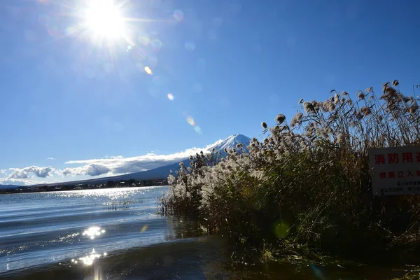 Krásná Krajina Hora Fuji Japonsku Jezero Kawaguchiko Velikost Fuji Bílý — Stock fotografie