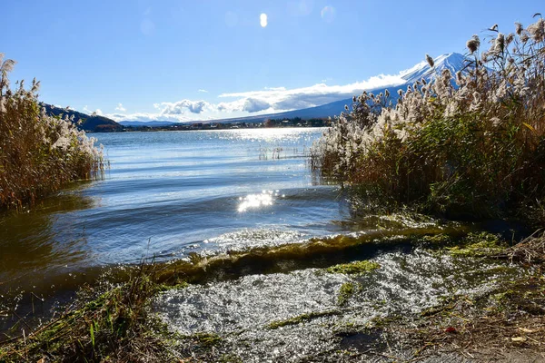 Krásná Krajina Hora Fuji Japonsku Jezero Kawaguchiko Velikost Fuji Bílý — Stock fotografie