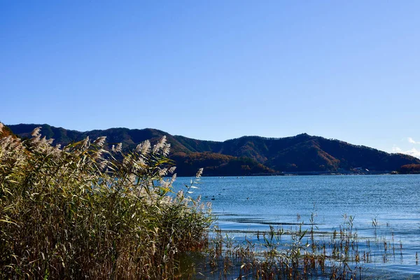 Krásná Krajina Hora Fuji Japonsku Jezero Kawaguchiko Velikost Fuji Bílý — Stock fotografie