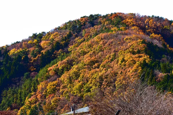 Yamanashi Japan November 2018 Unidentified Beautiful Landscape Mountain Fuji Japan — Stock Photo, Image