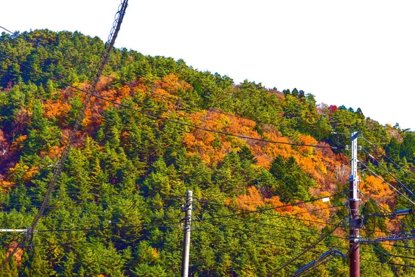 Όμορφο Τοπίο Mountain Fuji Στην Ιαπωνία Λίμνη Kawaguchiko Μέγεθος Του — Φωτογραφία Αρχείου