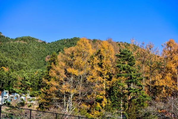 Hermoso Paisaje Montaña Fuji Japón Lago Kawaguchiko Tamaño Fuji Tapa —  Fotos de Stock