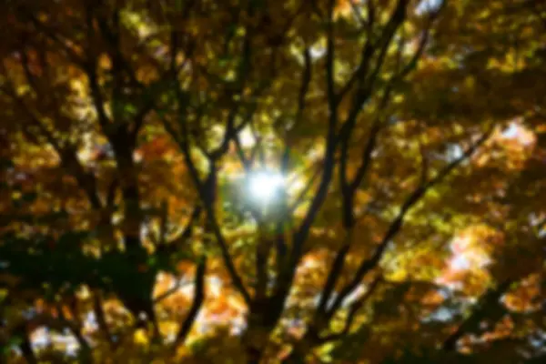 Schöne Landschaft Berg Fuji Japan See Kawaguchiko Größe Von Fuji — Stockfoto