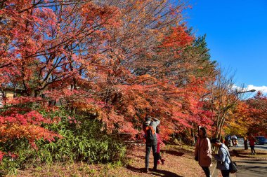 Kawaguchiko Gölü 'nde Renkli Sonbahar Sezonu ve Fuji Dağı.
