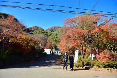 Kawaguchiko Gölü 'nde Renkli Sonbahar Sezonu ve Fuji Dağı.