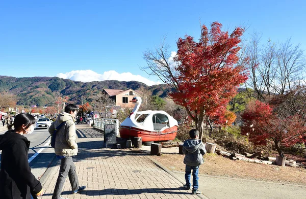 緑の木からの湖とリアの花の美しい景色 — ストック写真