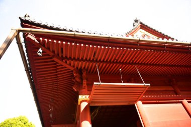 Tokyo, Japonya. 27 Kasım 2019 Tanımlanamayan Görüntü. Birçok insan Ueno parkında yürüyor ve sonbahar ağacını izliyor..