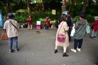 Tokyo, Japonya. 27 Kasım 2019 Tanımlanamayan Görüntü. Birçok insan Ueno parkında yürüyor ve sonbahar ağacını izliyor..