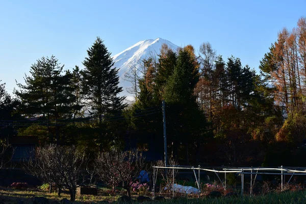 Yamanashi Japón Noviembre 2018 Por Mañana Clima Frío Pueblo Rural —  Fotos de Stock