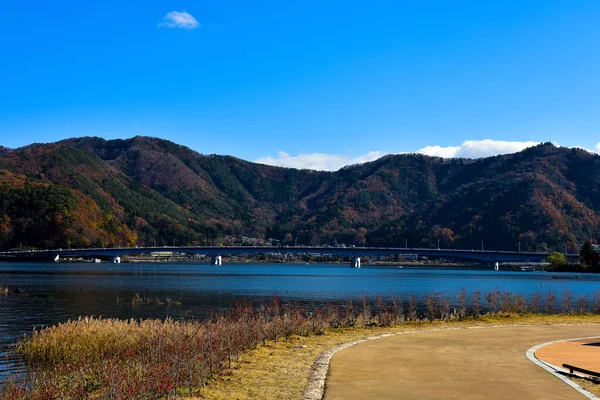 Őszi Levelek Kawaguchiko Lagúna Yakisaki Park Japán Fujisan Hegy — Stock Fotó