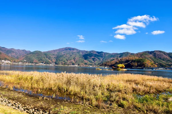 Őszi Levelek Kawaguchiko Lagúna Yakisaki Park Japán Fujisan Hegy — Stock Fotó