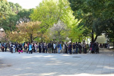 Tokyo, Japonya. 27 Kasım 2019 Tanımlanamayan Görüntü. Birçok insan Ueno parkında yürüyor ve sonbahar ağacını izliyor..