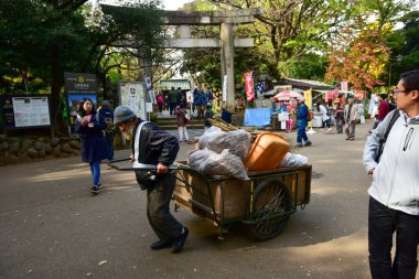 Tokyo, Japonya. 27 Kasım 2019 Tanımlanamayan Görüntü. Birçok insan Ueno parkında yürüyor ve sonbahar ağacını izliyor..