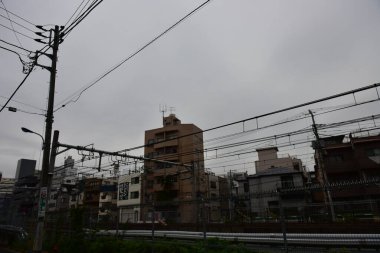 Tokyo, Japonya 21 Kasım 2018 Tanımlanamayan Görüntü Japon vatandaşlarının Tokyo 'ya seyahati.