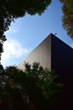 Tokyo, Japonya 27 Kasım 2018 Kimliği belirsiz birçok insan Ueno parkında yürüyor ve bahçedeki sonbahar ağacını izliyor. .