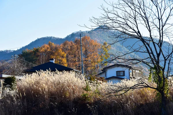 Yamanashi Japón Noviembre 2018 Por Mañana Clima Frío Pueblo Rural —  Fotos de Stock