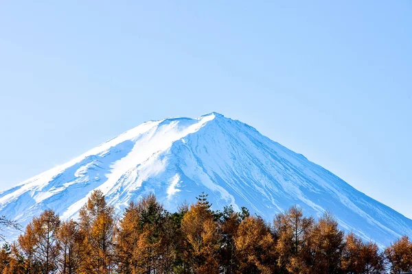 Eerste Zonsopgang Van Berg Fuji Blauw Bedekt Met Witte Sneeuw — Stockfoto